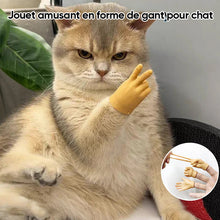 Charger l&#39;image dans la galerie, Jouet amusant en forme de gant pour chat