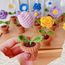 Charger l&#39;image dans la galerie, Fleurs tricotées à la main