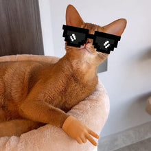 Charger l&#39;image dans la galerie, Jouet amusant en forme de gant pour chat