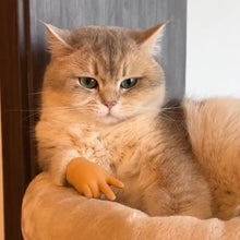 Charger l&#39;image dans la galerie, Jouet amusant en forme de gant pour chat