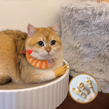 Charger l&#39;image dans la galerie, Jouet amusant en forme de gant pour chat