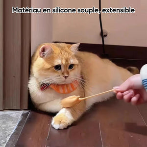Jouet amusant en forme de gant pour chat