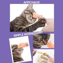 Charger l&#39;image dans la galerie, Jouet amusant en forme de gant pour chat