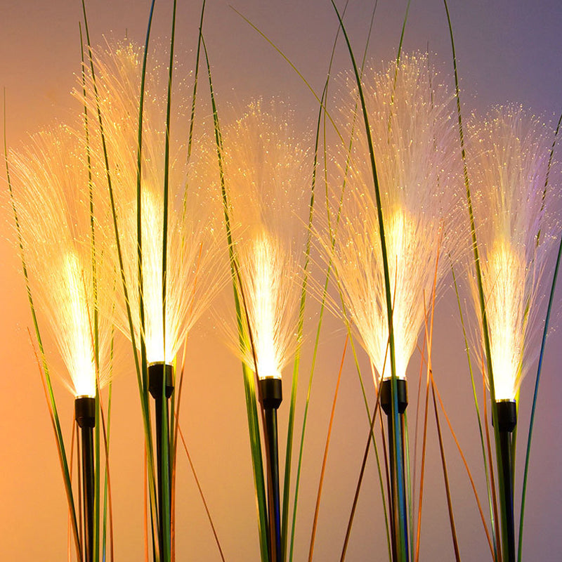 Reed Fibre Optique Lumière