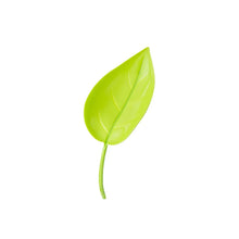 Charger l&#39;image dans la galerie, 🌸🥬Feuilles d&#39;arrosage drôles (6pcs)🥬🌸