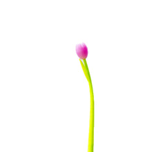 Charger l&#39;image dans la galerie, Stylos à bille Tulip à changement de couleur