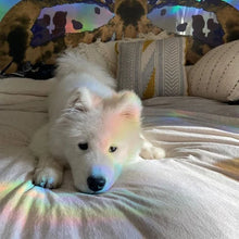Charger l&#39;image dans la galerie, Film de fenêtre arc-en-ciel 3D, matériau PVC, réfraction, sans colle