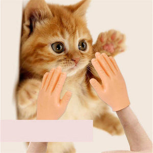 Gants de massage drôles de chat