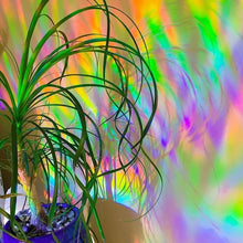 Charger l&#39;image dans la galerie, Film de fenêtre arc-en-ciel 3D, matériau PVC, réfraction, sans colle