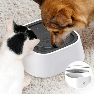 Bol Zéro Splash pour animaux de compagnie