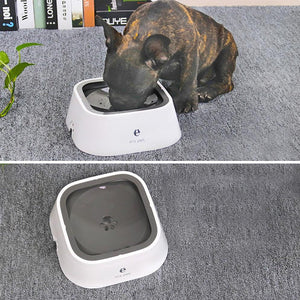 Bol Zéro Splash pour animaux de compagnie