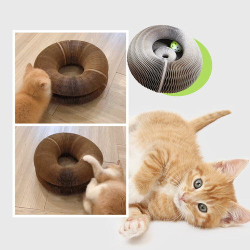 Tableau à gratter pour chat Magic Organ