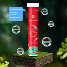 Charger l&#39;image dans la galerie, Engrais de jardin universel à libération lente sous forme de comprimés