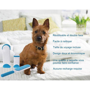 Ciaovie Brosse Anti-Poil - ciaovie