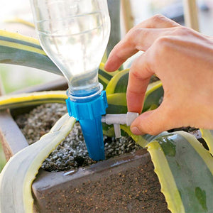 Système D'Arrossage Pour Plantes En Pot - ciaovie