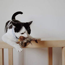 Charger l&#39;image dans la galerie, Jouet pour chat - Oiseau gazouillant simulé