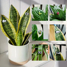 Charger l&#39;image dans la galerie, 😂Décor magnétique de plante mignonne (6 pièces/ensemble)
