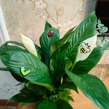 Charger l&#39;image dans la galerie, 😂Décor magnétique de plante mignonne (6 pièces/ensemble)