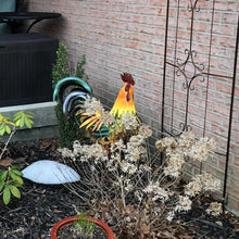 Charger l&#39;image dans la galerie, Coq de fer - détails étonnants et belles couleurs - art de la pelouse et du jardin