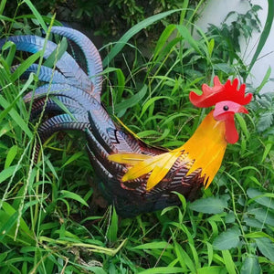 Coq de fer - détails étonnants et belles couleurs - art de la pelouse et du jardin