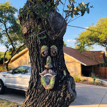 Charger l&#39;image dans la galerie, Décoration Extérieure de Visage d&#39;Arbre