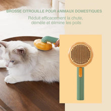 Charger l&#39;image dans la galerie, Brosse à Peigner Citrouille pour Animaux de Compagnie