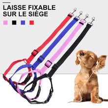 Charger l&#39;image dans la galerie, 🐾Laisse Réglable pour Chien Fixable sur le Siège Auto