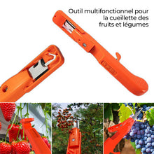 Charger l&#39;image dans la galerie, Outils efficaces de collecte de poivre