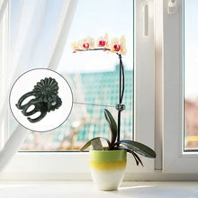 Charger l&#39;image dans la galerie, Support orchidée Phalaenopsis