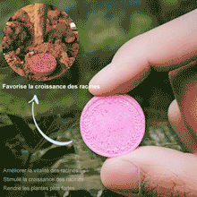 Charger l&#39;image dans la galerie, Engrais de jardin universel à libération lente sous forme de comprimés