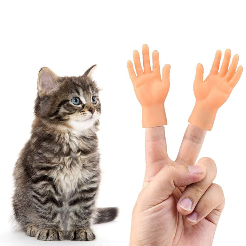 Gants de massage drôles de chat