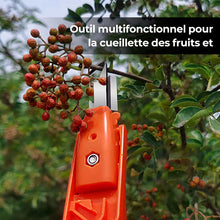 Charger l&#39;image dans la galerie, Outils efficaces de collecte de poivre