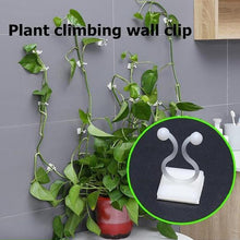 Charger l&#39;image dans la galerie, Clip Mural pour Plantes Grimpantes (30 pièces)