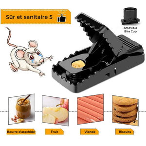 Piège à souris ménager délicat (6 pièces)