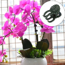 Charger l&#39;image dans la galerie, Support orchidée Phalaenopsis