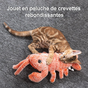 Jouet interactif pour chat et chien