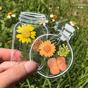 🌸Signets de fleurs séchées transparentes