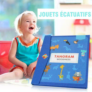 Magnétique Tangram Jeu Puzzle Coloré en Bois - ciaovie