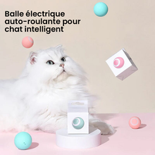 Charger l&#39;image dans la galerie, Cache-cache chat taquin