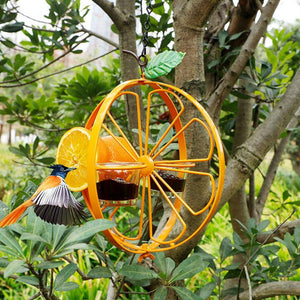Mangeoire à Oiseaux Oriole Orange