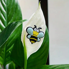 Charger l&#39;image dans la galerie, 😂Décor magnétique de plante mignonne (6 pièces/ensemble)