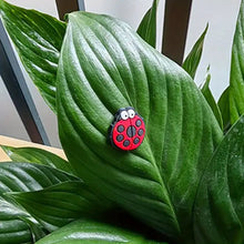 Charger l&#39;image dans la galerie, 😂Décor magnétique de plante mignonne (6 pièces/ensemble)