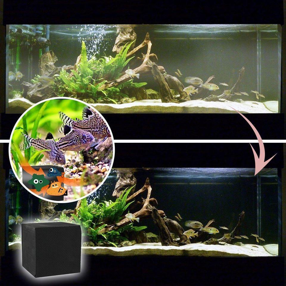 Purificateur d'eau Eco Aquarium Rubik's Cube