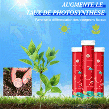 Charger l&#39;image dans la galerie, Engrais de jardin universel à libération lente sous forme de comprimés
