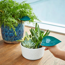 Charger l&#39;image dans la galerie, 🌸🥬Feuilles d&#39;arrosage drôles (6pcs)🥬🌸