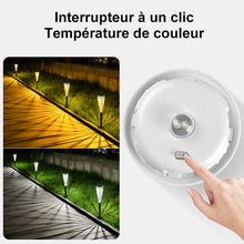 Charger l&#39;image dans la galerie, Lampes Solaires pour Allées de Jardin (2pcs)