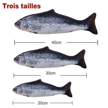 Charger l&#39;image dans la galerie, Jouet de Poisson à Cataire - ciaovie