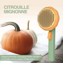 Charger l&#39;image dans la galerie, Brosse à Peigner Citrouille pour Animaux de Compagnie