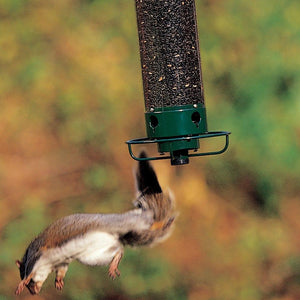 Mangeoire à oiseaux anti-écureuil