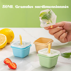 Moule pour Bac à Glace Simple（3 pcs）